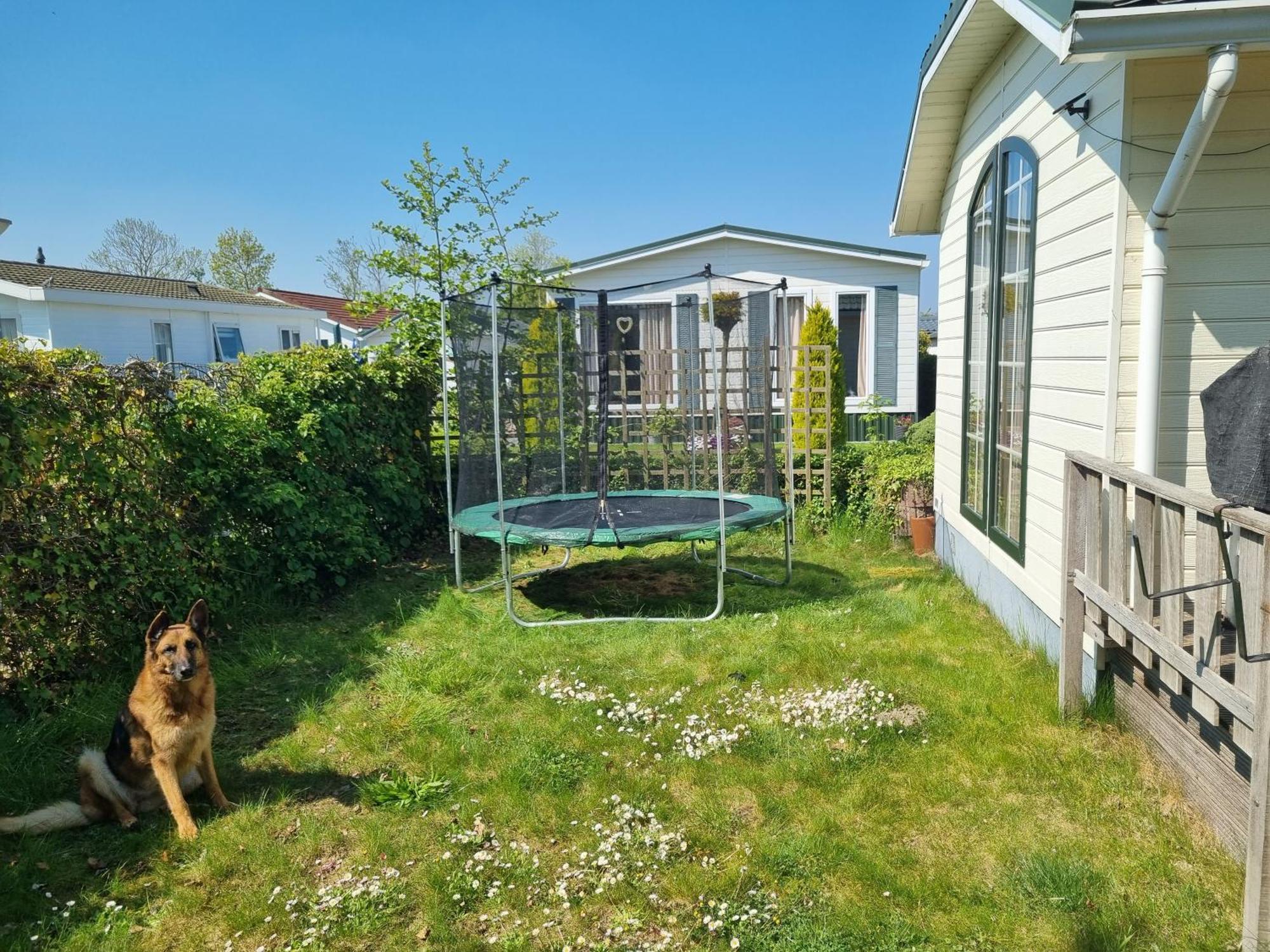 Vakantiehuis In Zeeland Синт-Анналанд Номер фото